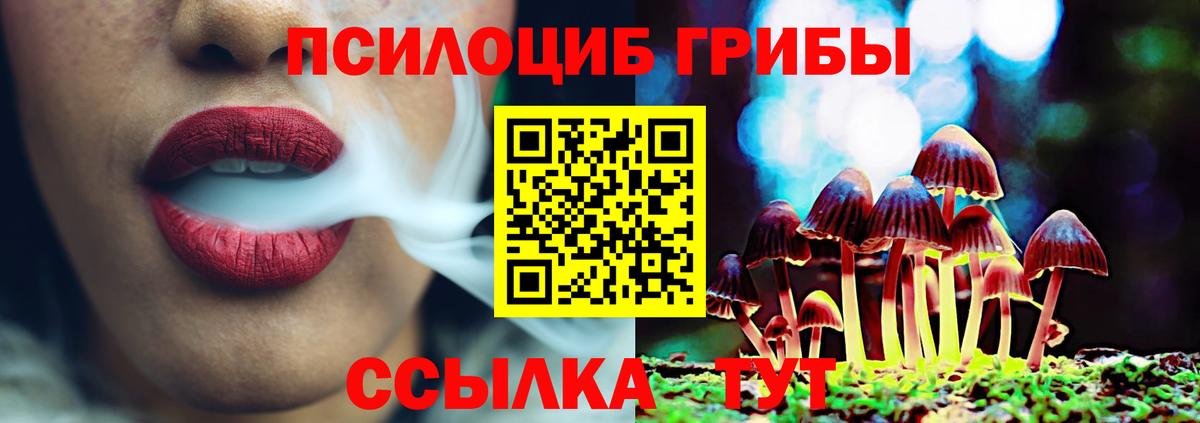 где купить   Вход с VPN  Рузаевка  Псилоцибиновые грибы GOLDEN TEACHER 